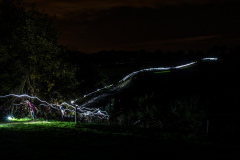 20191123_cDavidGonthier_1935