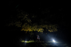 20191123_cDavidGonthier_1940