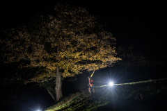 20191123_cDavidGonthier_1994